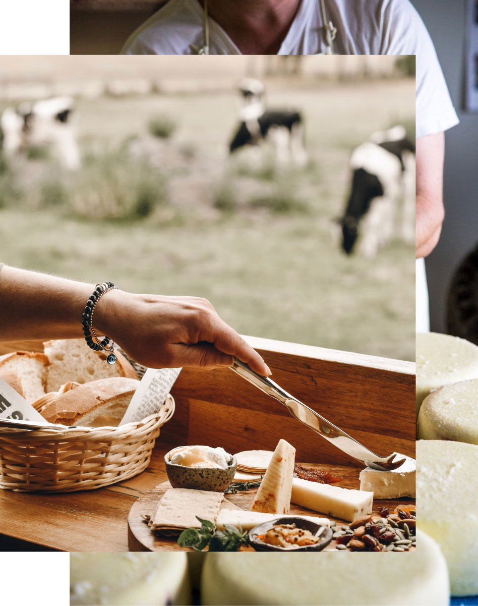 Agritourism strategy case study for Gippslands by Hipscotch